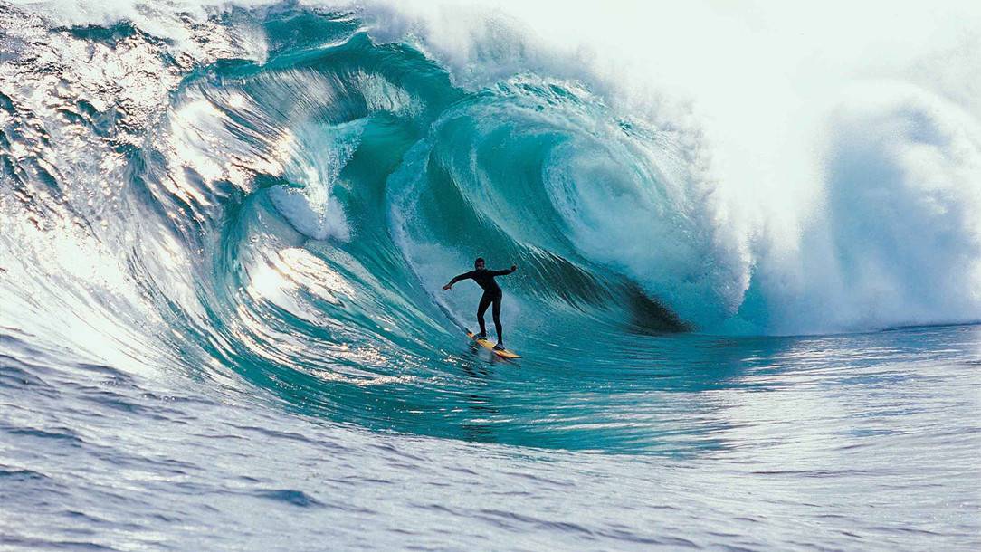 ְɻҵߣ˽Щ˰֪ʶ