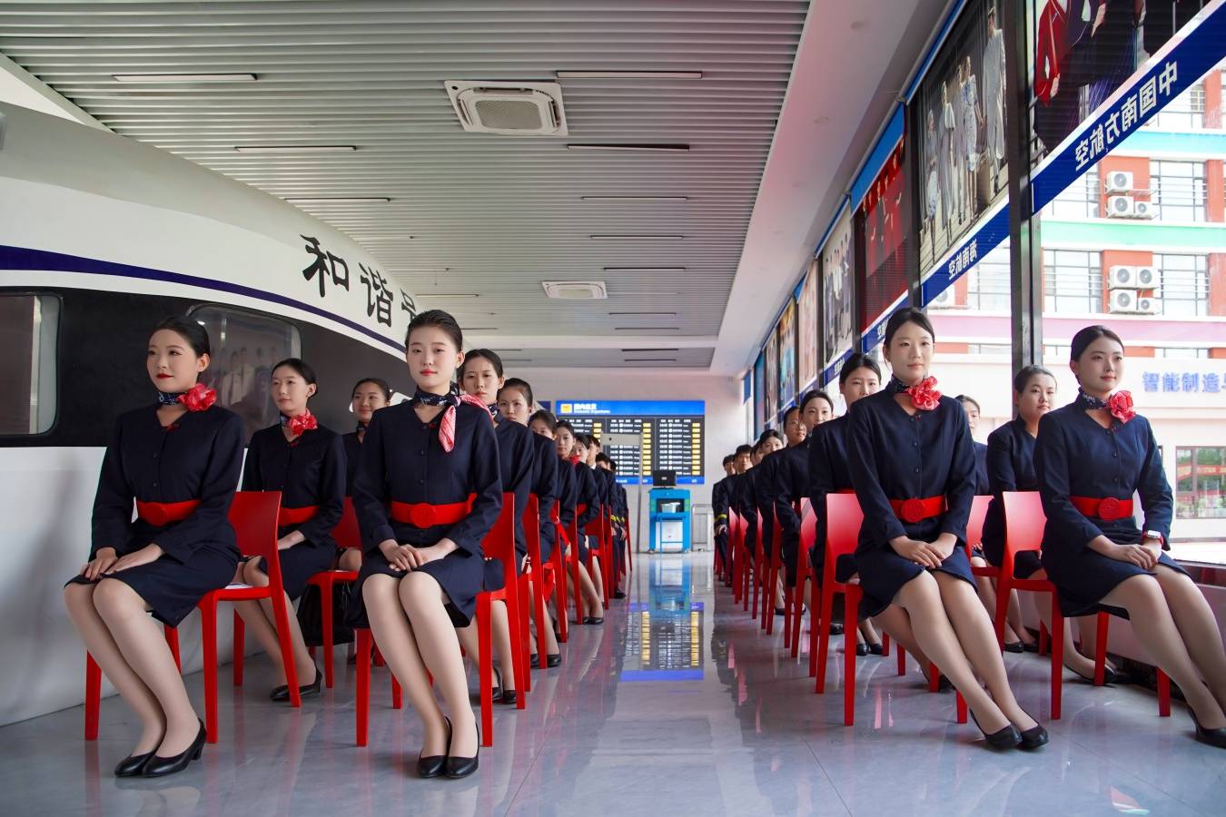 ���ճ���רҵ���������죬��������