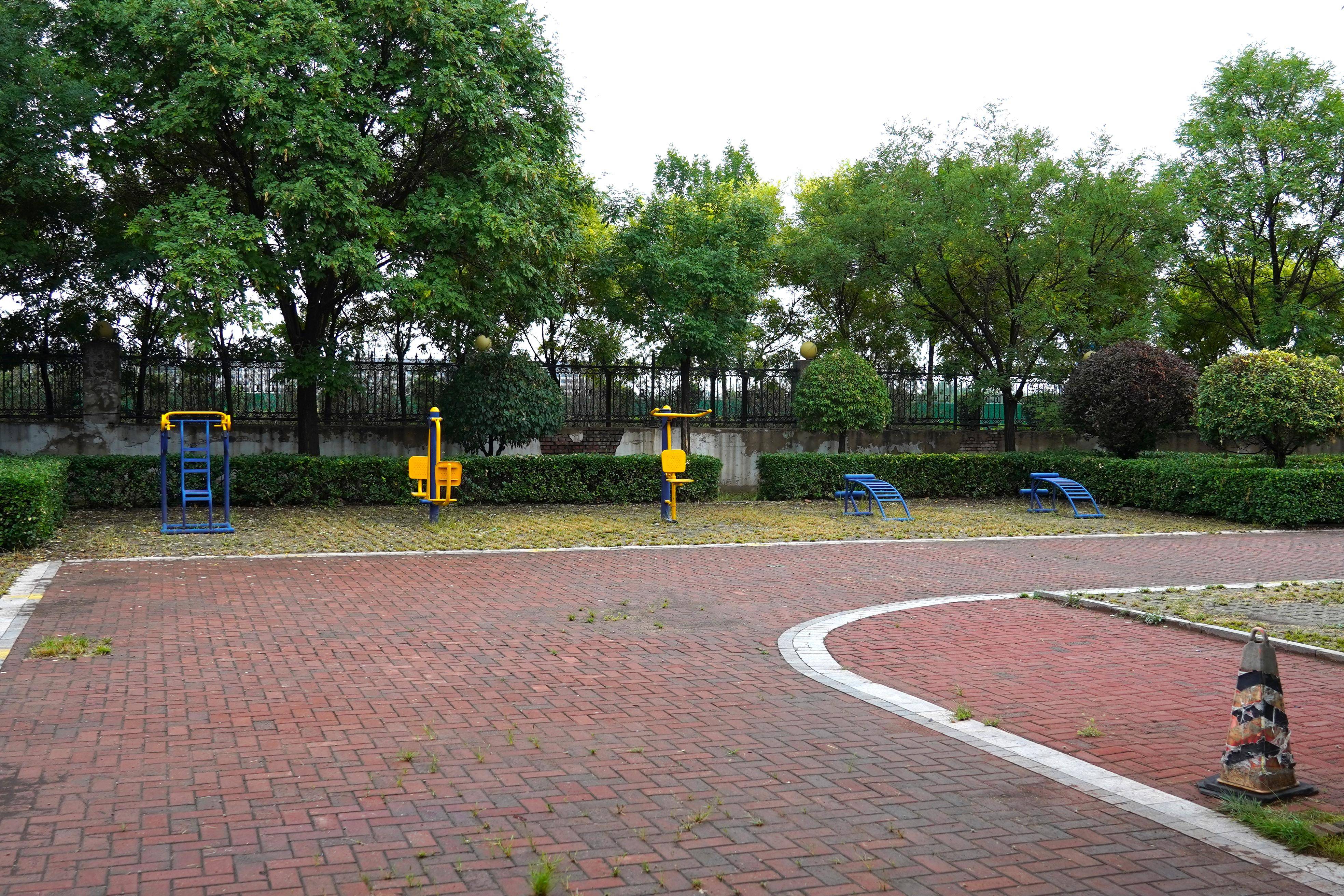 学生活动